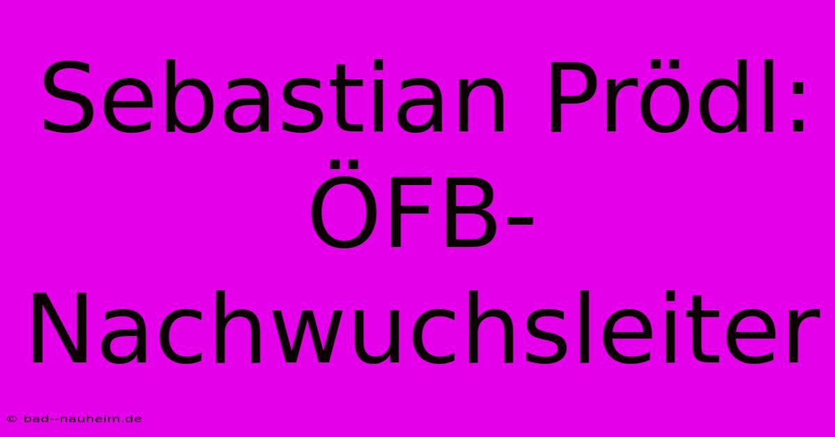 Sebastian Prödl: ÖFB-Nachwuchsleiter