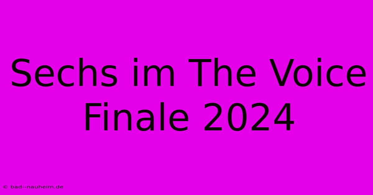 Sechs Im The Voice Finale 2024