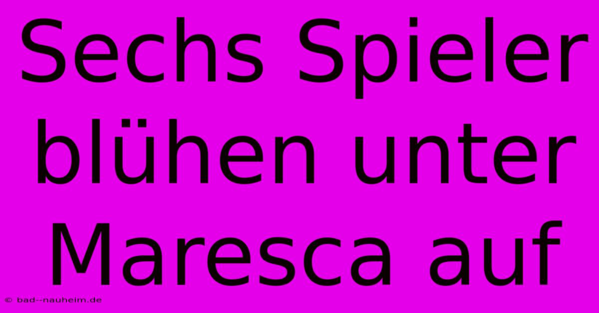 Sechs Spieler Blühen Unter Maresca Auf