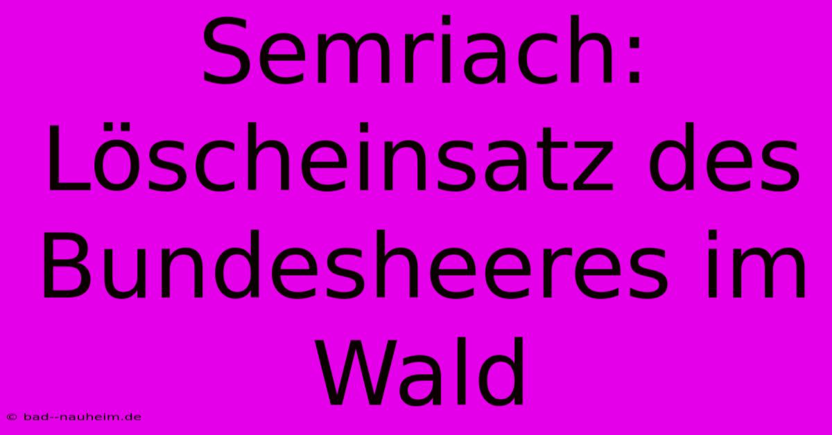 Semriach:  Löscheinsatz Des Bundesheeres Im Wald