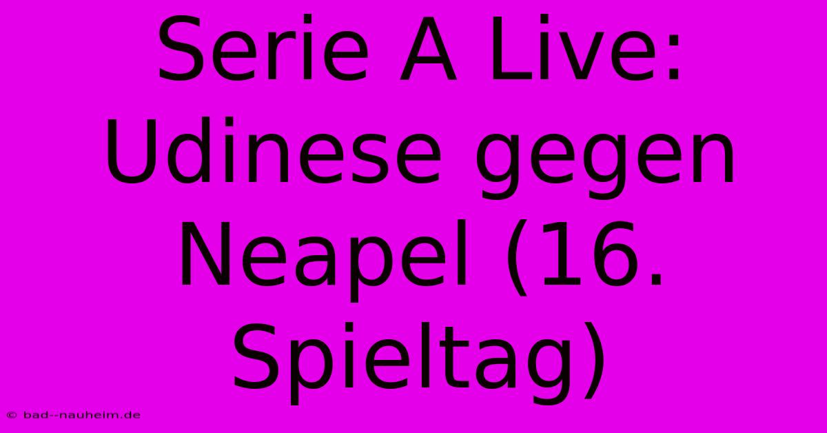 Serie A Live: Udinese Gegen Neapel (16. Spieltag)