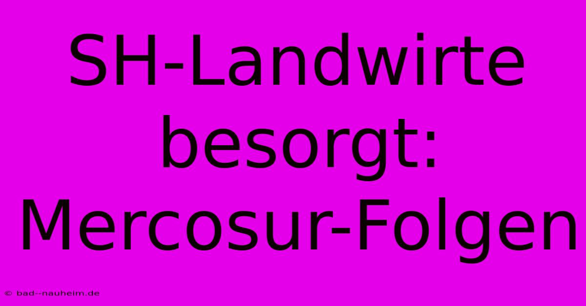 SH-Landwirte Besorgt: Mercosur-Folgen