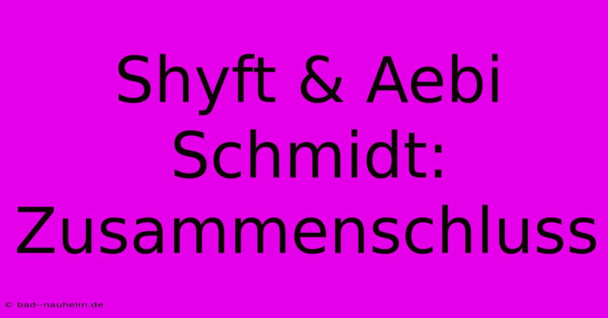 Shyft & Aebi Schmidt:  Zusammenschluss