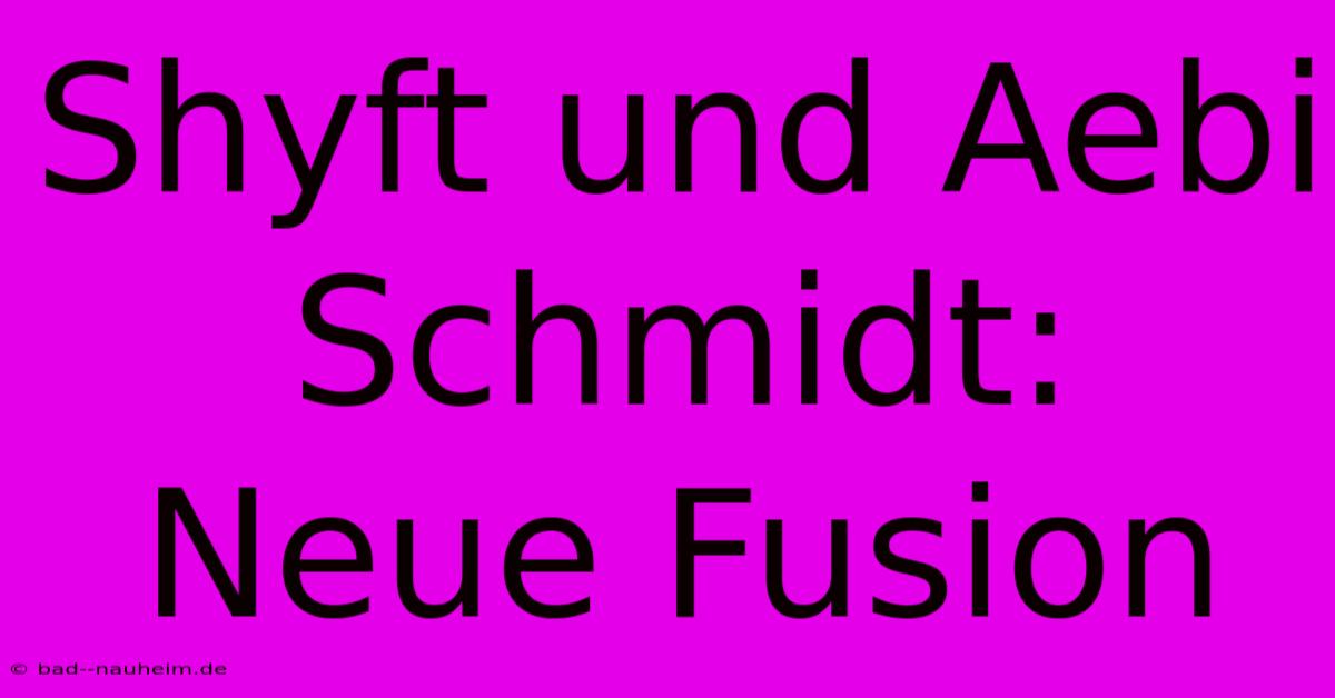 Shyft Und Aebi Schmidt: Neue Fusion