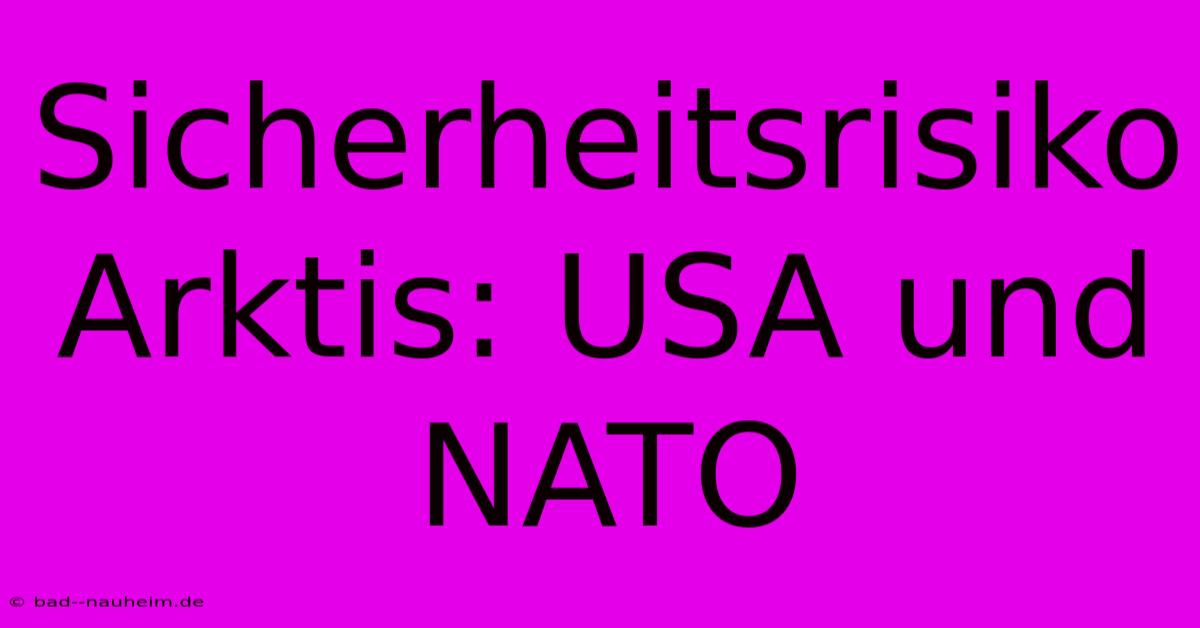 Sicherheitsrisiko Arktis: USA Und NATO