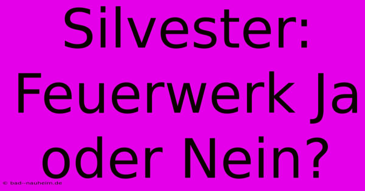 Silvester: Feuerwerk Ja Oder Nein?