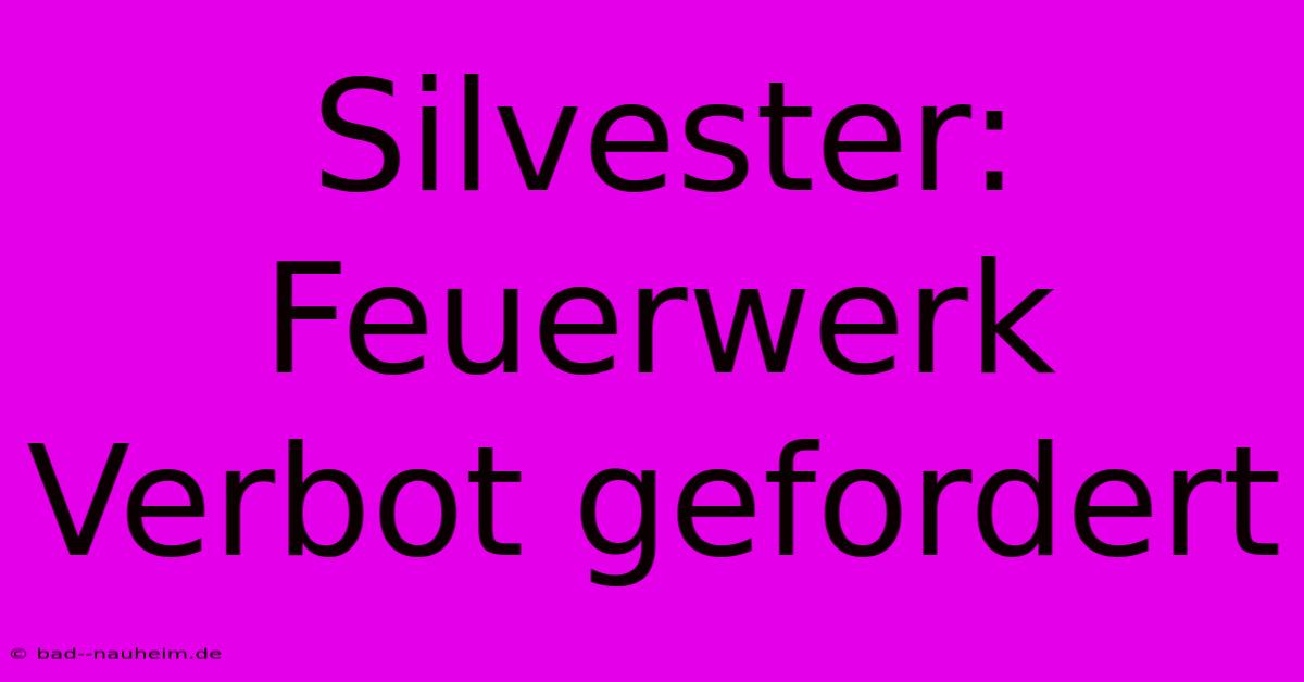 Silvester:  Feuerwerk Verbot Gefordert