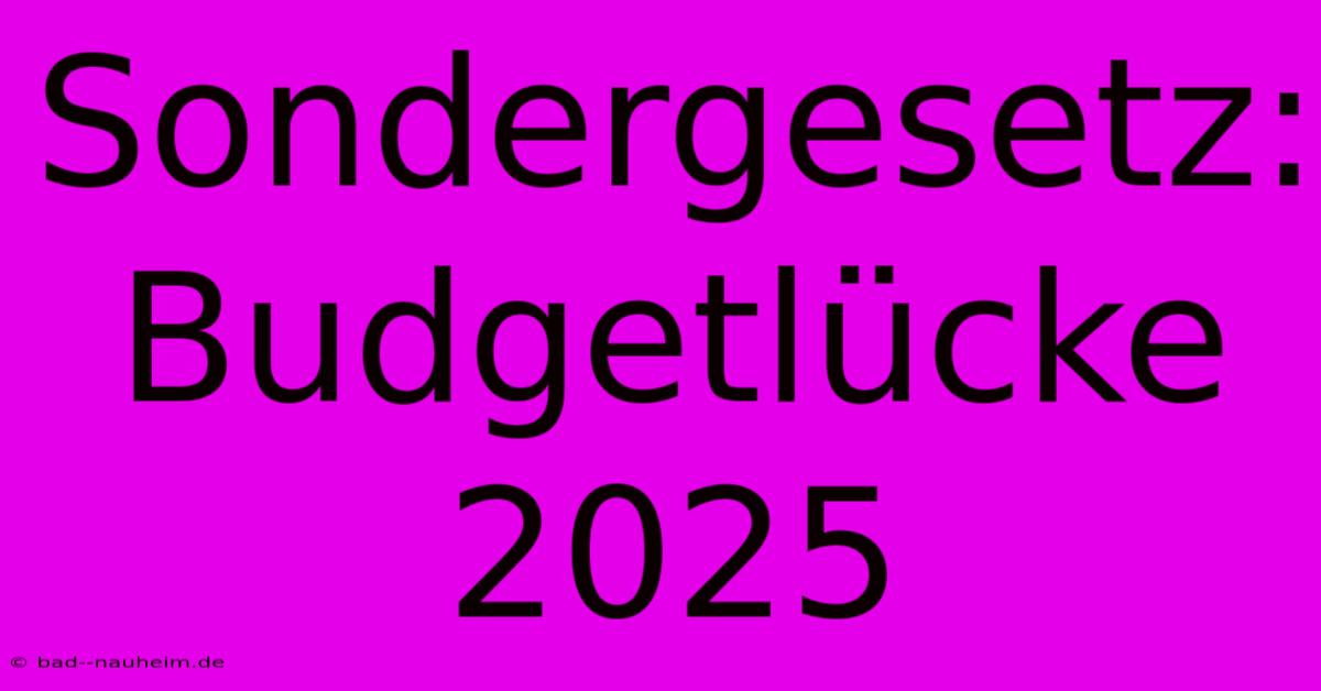 Sondergesetz:  Budgetlücke 2025