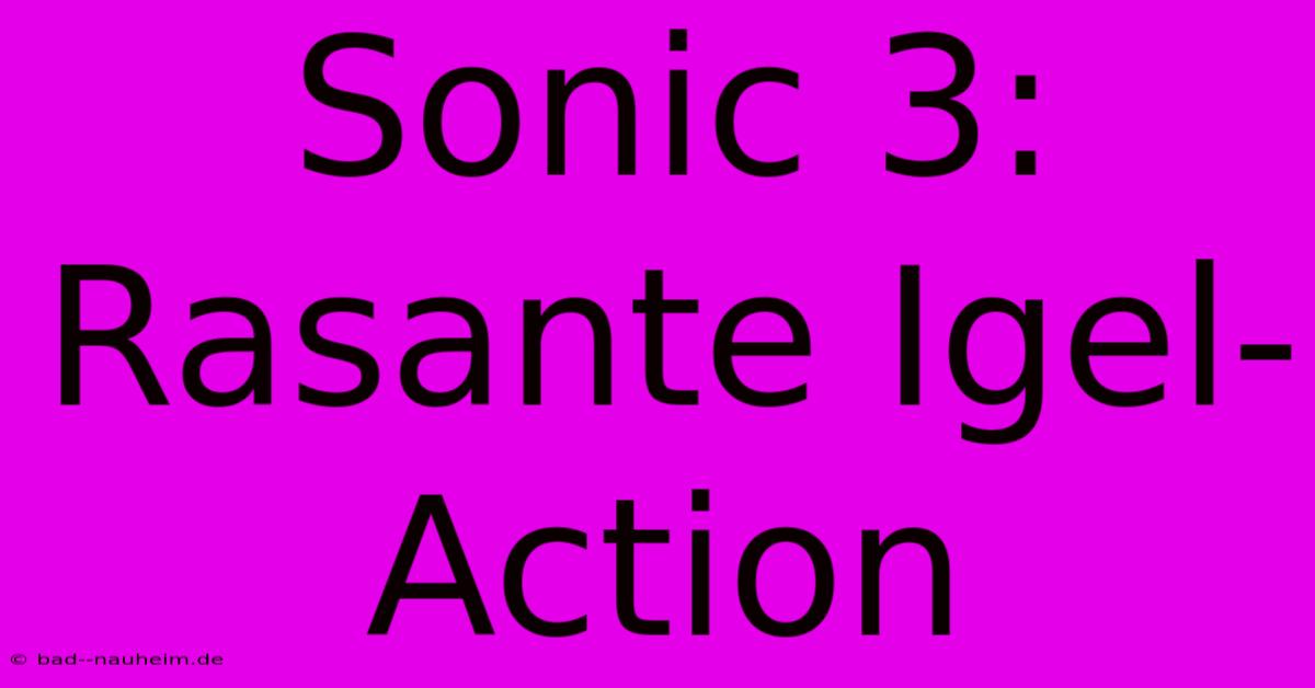 Sonic 3: Rasante Igel-Action