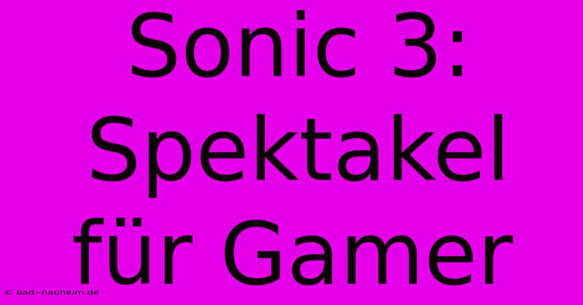 Sonic 3:  Spektakel Für Gamer