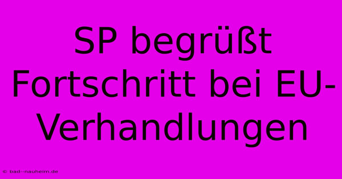 SP Begrüßt Fortschritt Bei EU-Verhandlungen