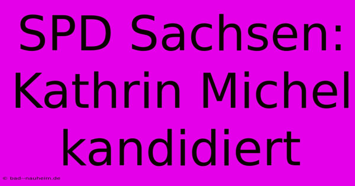 SPD Sachsen: Kathrin Michel Kandidiert