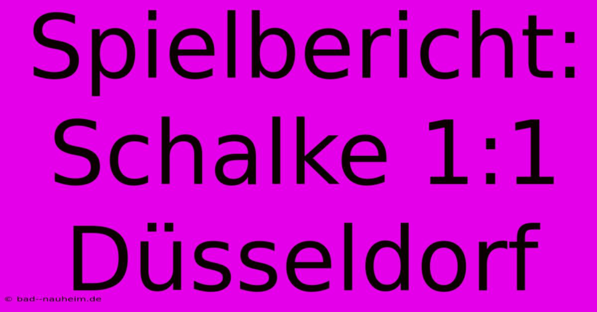 Spielbericht: Schalke 1:1 Düsseldorf