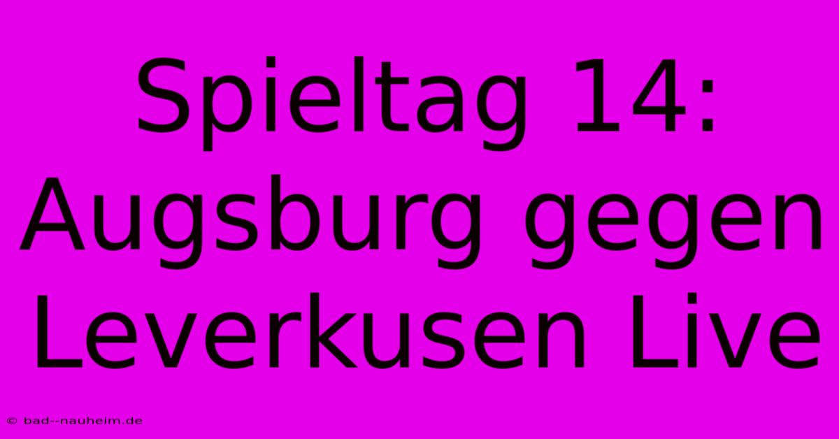 Spieltag 14: Augsburg Gegen Leverkusen Live