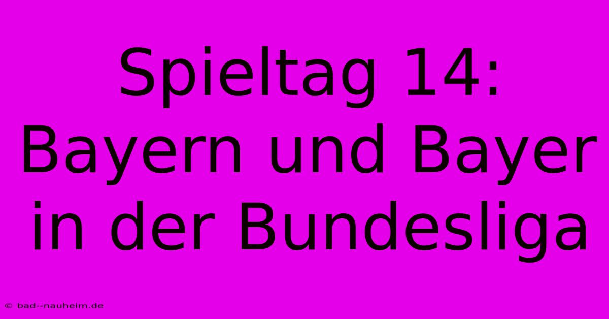 Spieltag 14: Bayern Und Bayer In Der Bundesliga