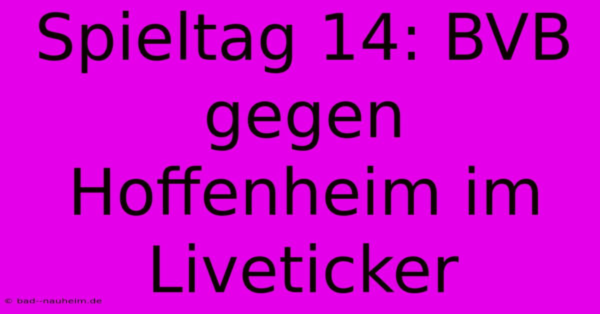 Spieltag 14: BVB Gegen Hoffenheim Im Liveticker