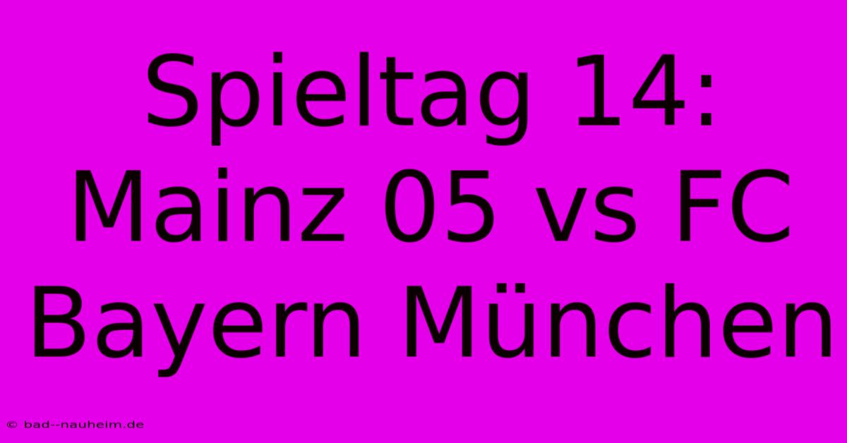 Spieltag 14: Mainz 05 Vs FC Bayern München