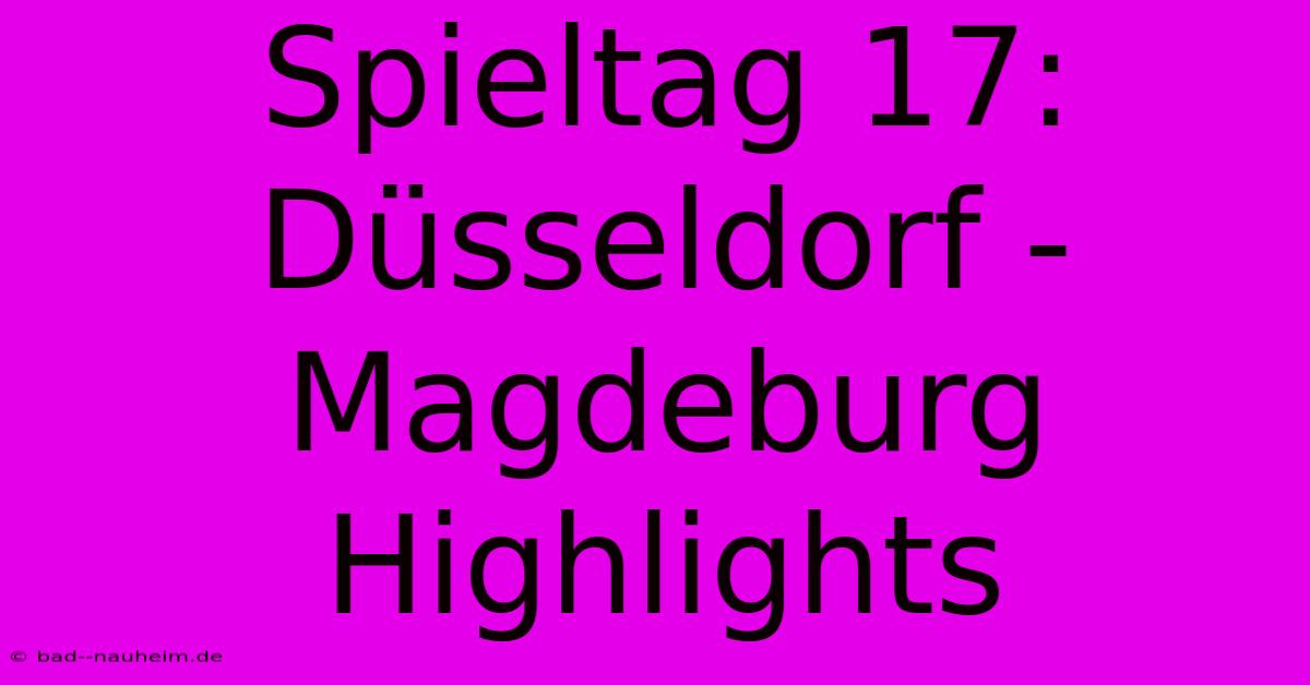 Spieltag 17: Düsseldorf - Magdeburg Highlights