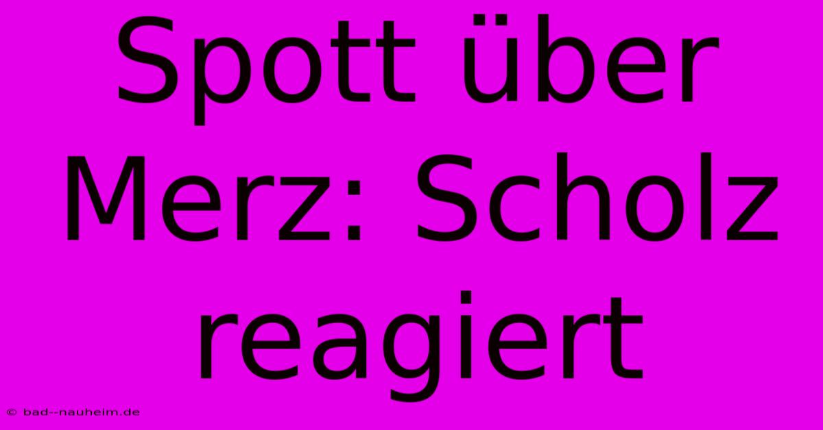 Spott Über Merz: Scholz Reagiert