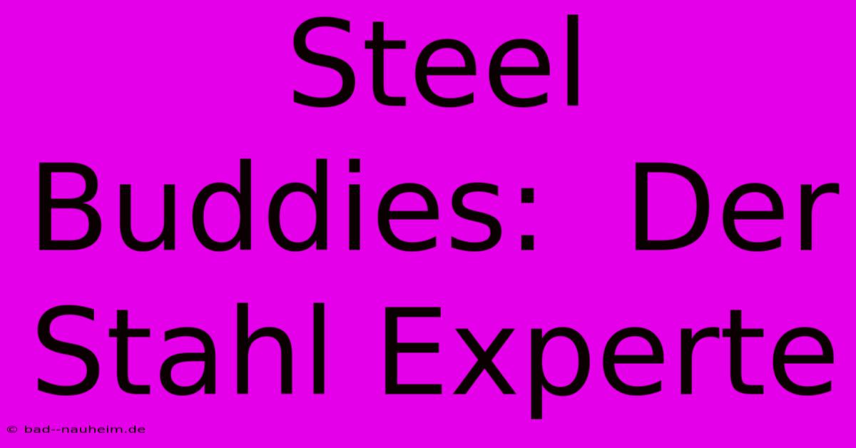 Steel Buddies:  Der Stahl Experte