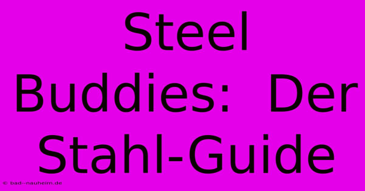 Steel Buddies:  Der Stahl-Guide