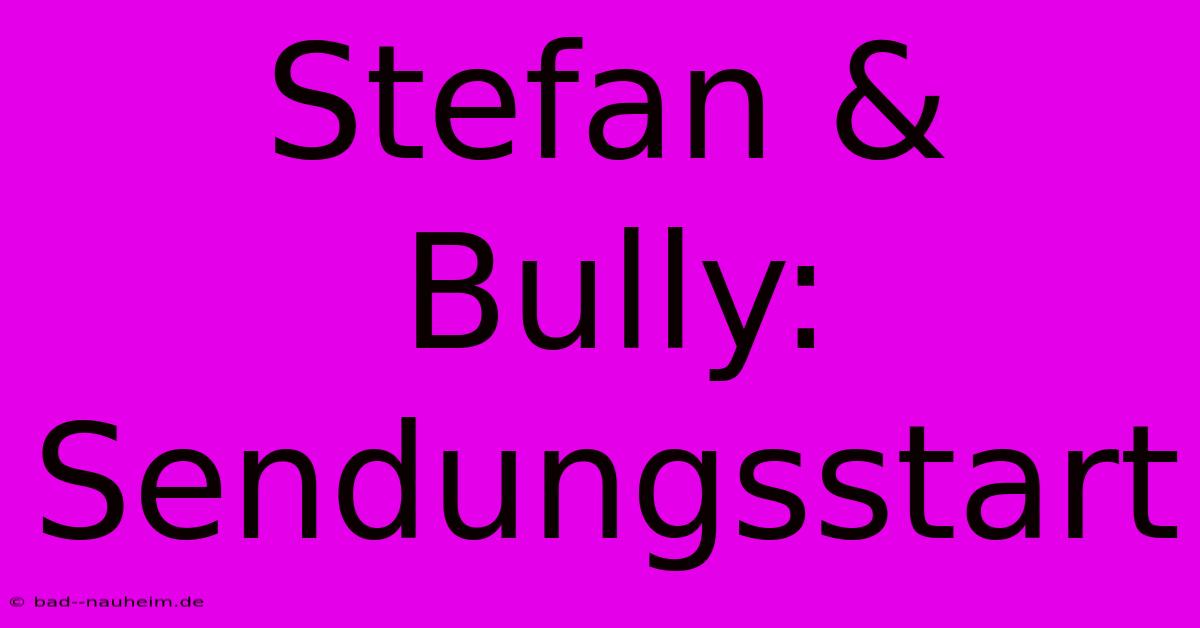 Stefan & Bully: Sendungsstart