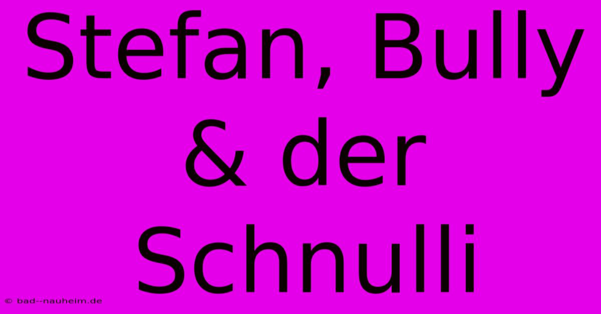 Stefan, Bully & Der Schnulli