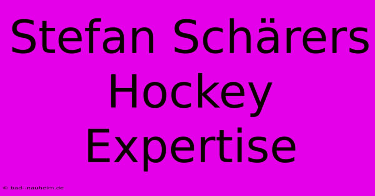 Stefan Schärers Hockey Expertise