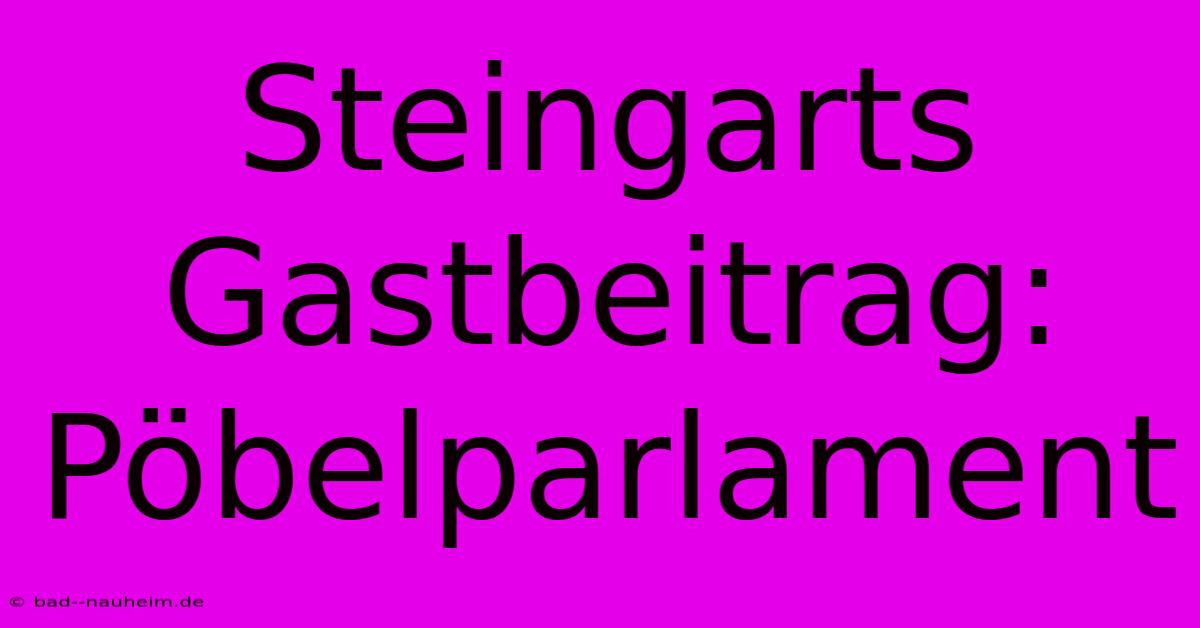 Steingarts Gastbeitrag: Pöbelparlament