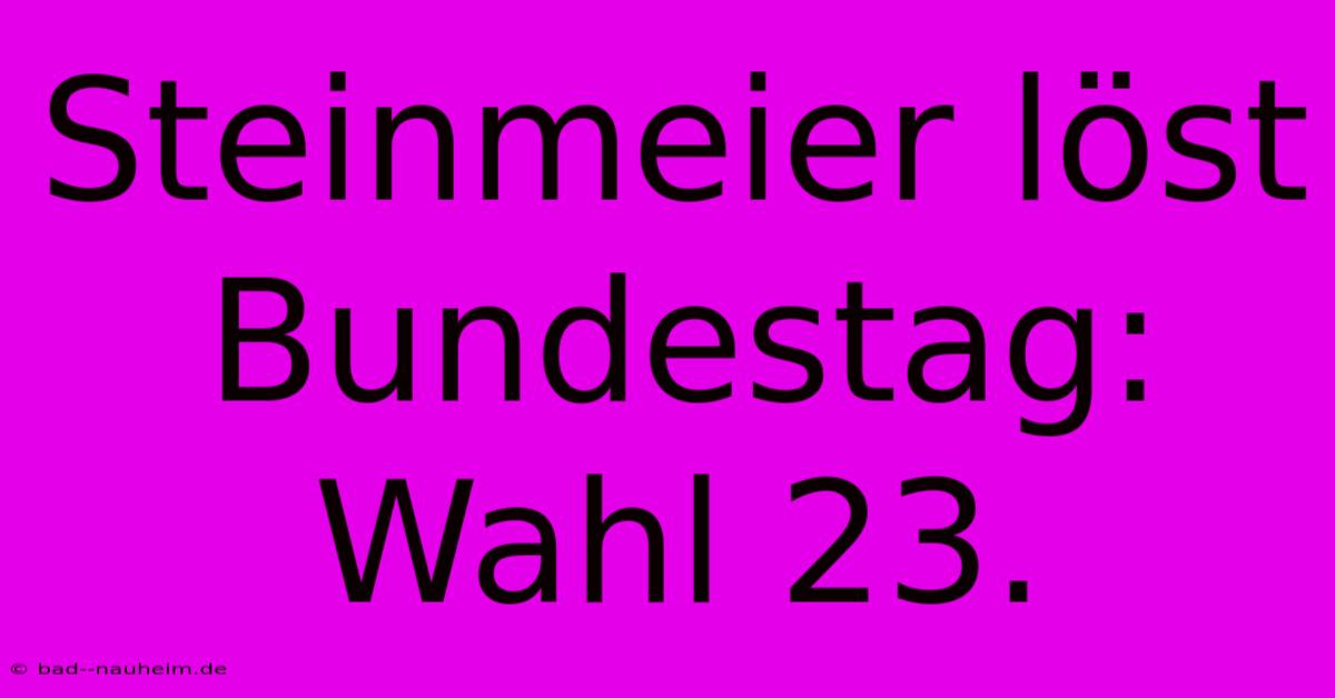 Steinmeier Löst Bundestag: Wahl 23.