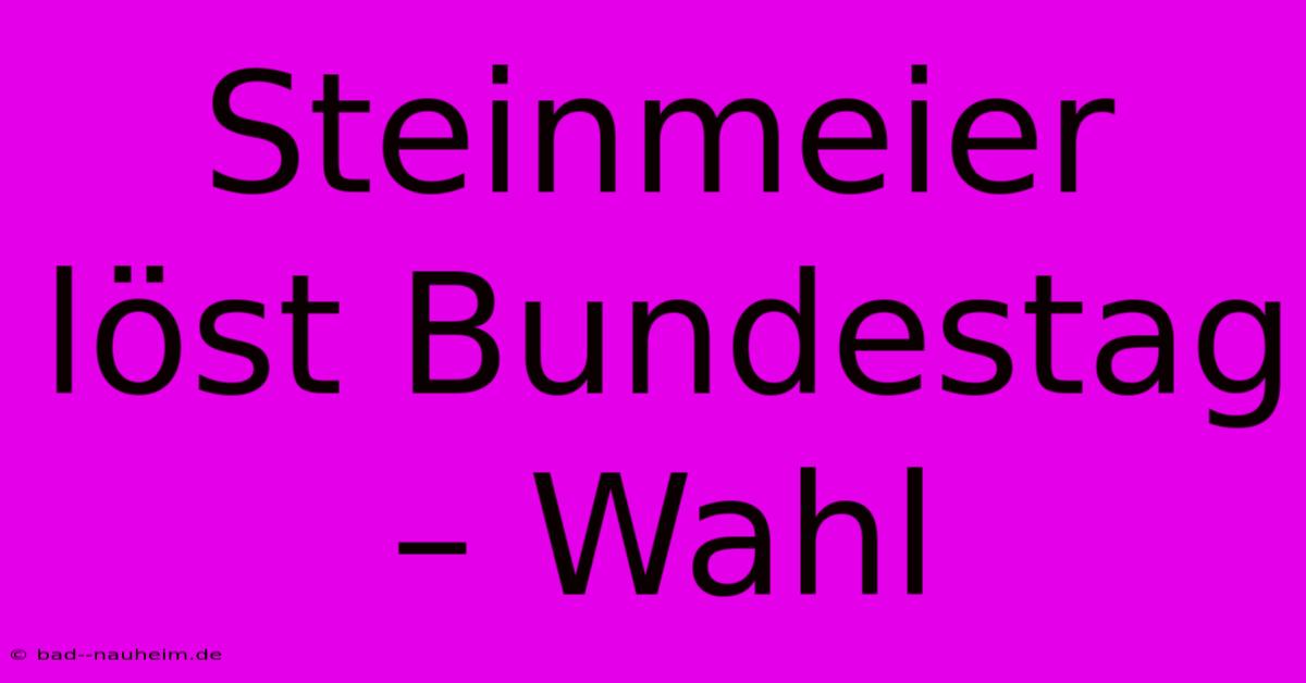 Steinmeier Löst Bundestag – Wahl