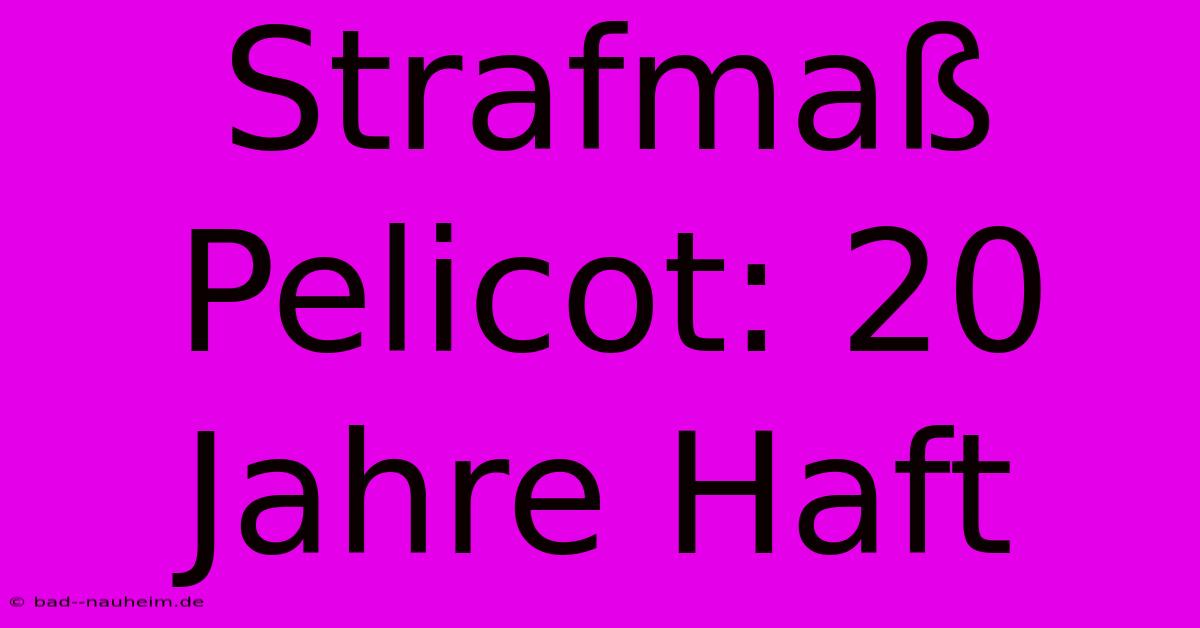 Strafmaß Pelicot: 20 Jahre Haft