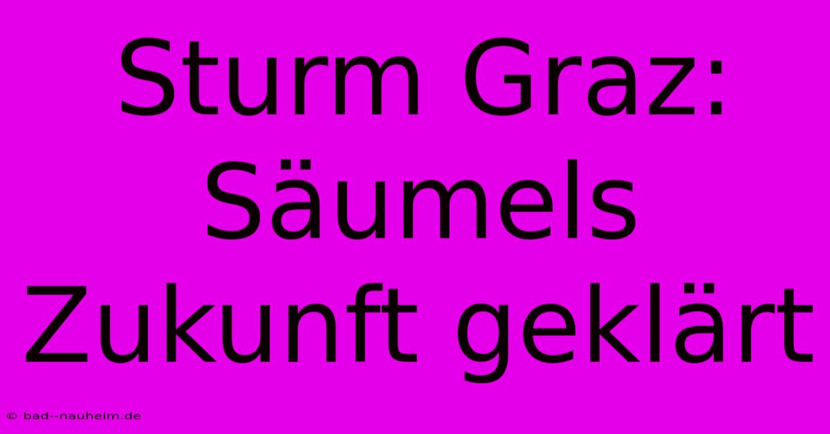 Sturm Graz: Säumels Zukunft Geklärt