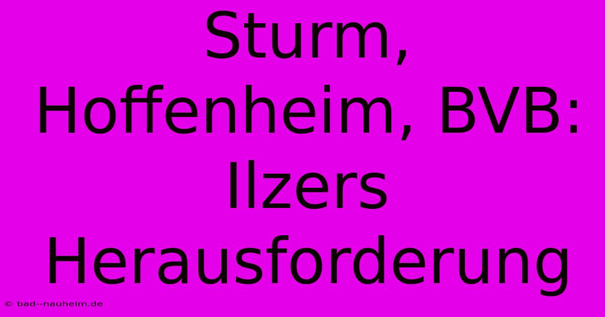 Sturm, Hoffenheim, BVB: Ilzers Herausforderung