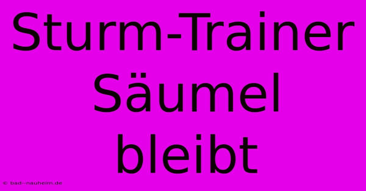 Sturm-Trainer Säumel Bleibt