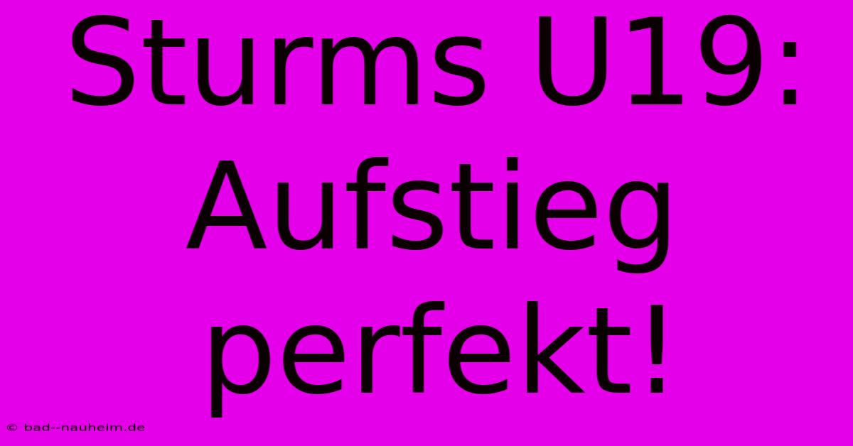 Sturms U19: Aufstieg Perfekt!