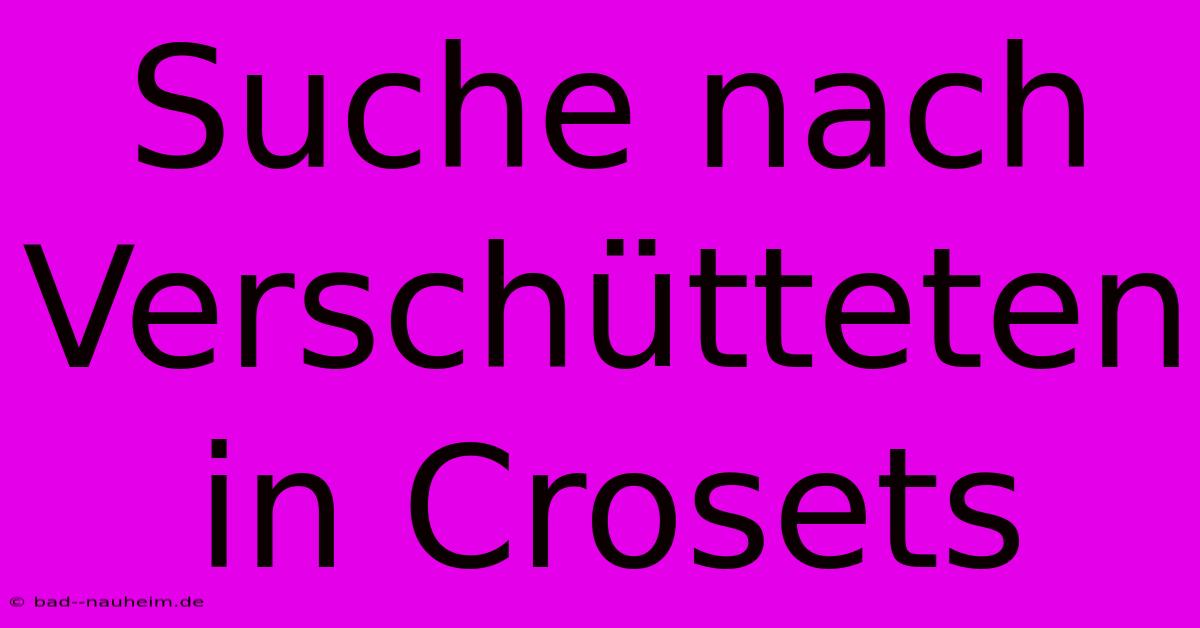 Suche Nach Verschütteten In Crosets