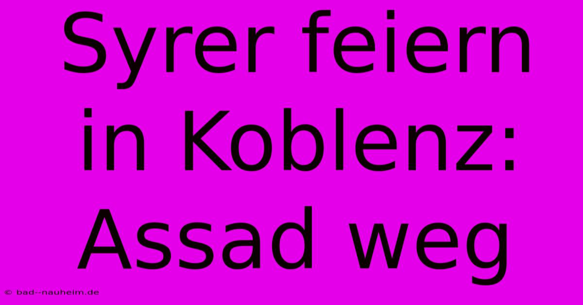 Syrer Feiern In Koblenz: Assad Weg