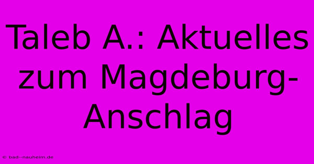 Taleb A.: Aktuelles Zum Magdeburg-Anschlag