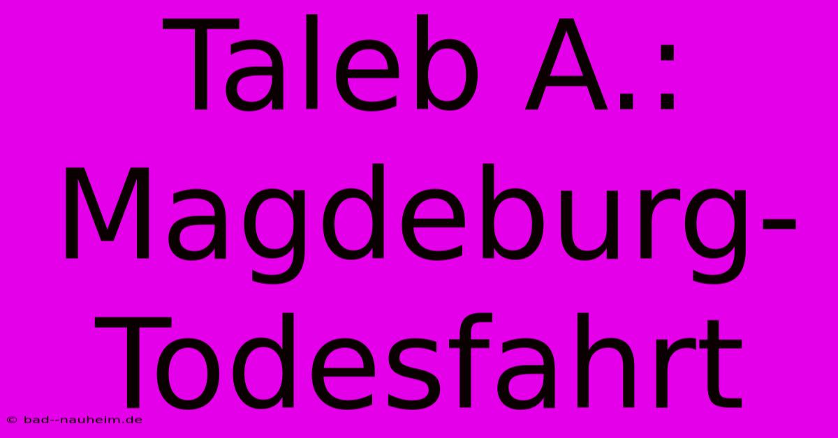 Taleb A.: Magdeburg-Todesfahrt