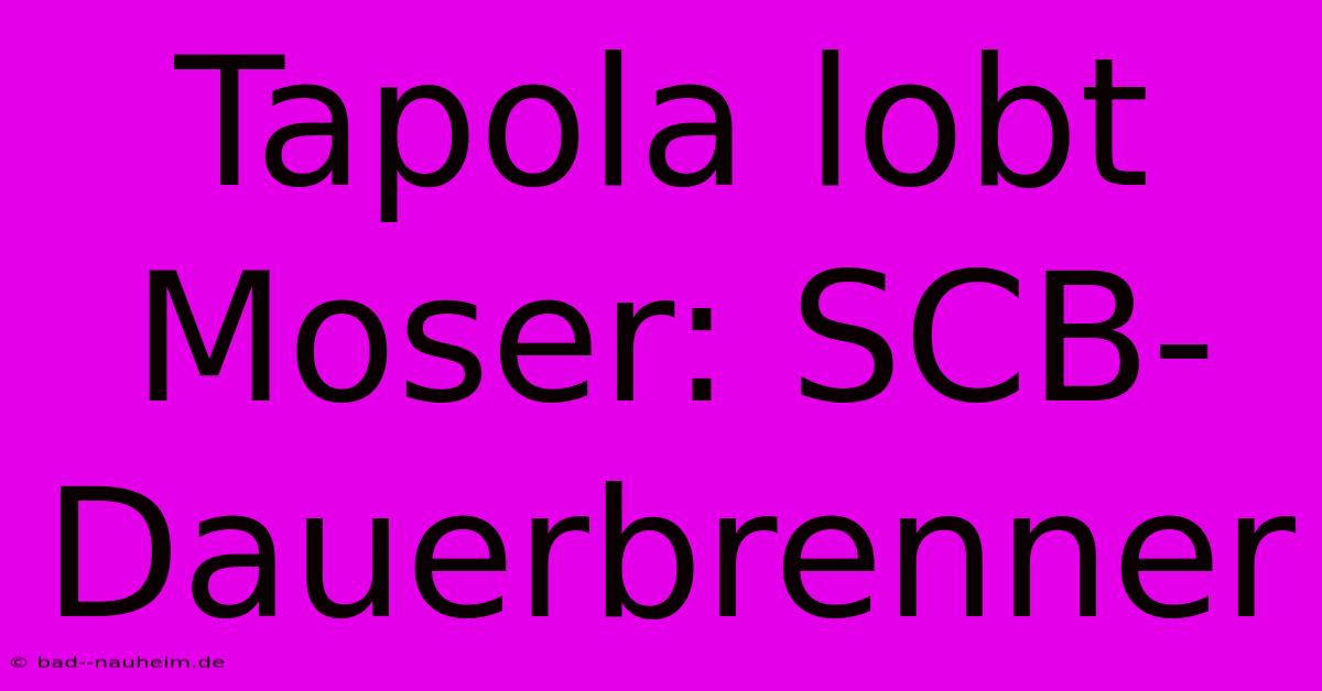 Tapola Lobt Moser: SCB-Dauerbrenner