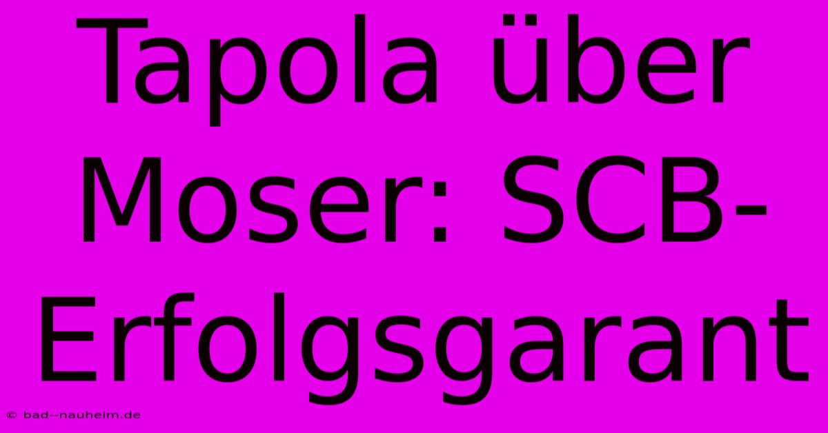 Tapola Über Moser: SCB-Erfolgsgarant