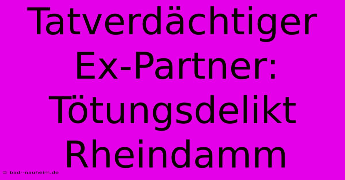 Tatverdächtiger Ex-Partner: Tötungsdelikt Rheindamm