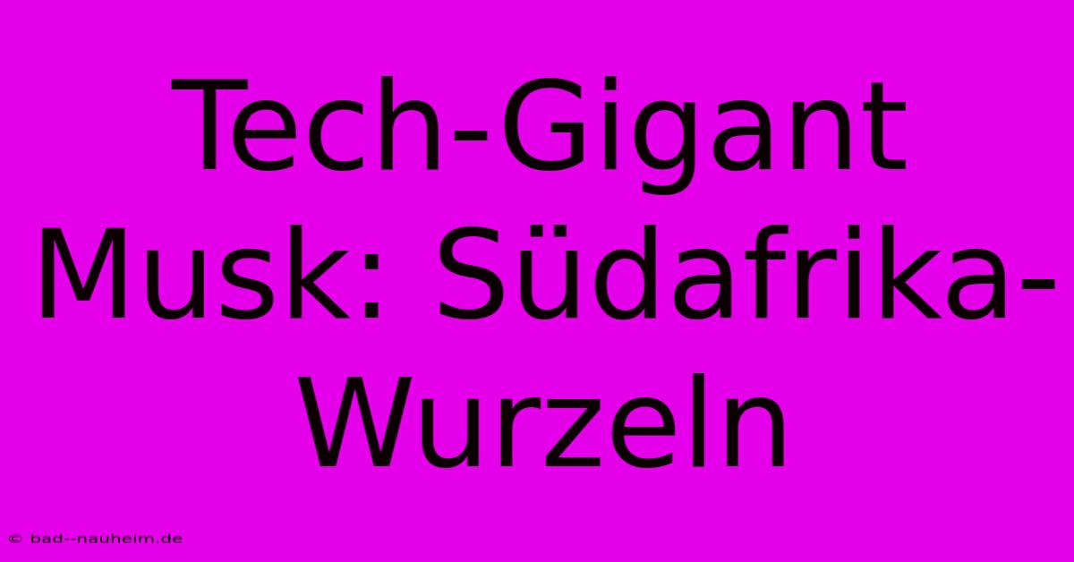 Tech-Gigant Musk: Südafrika-Wurzeln