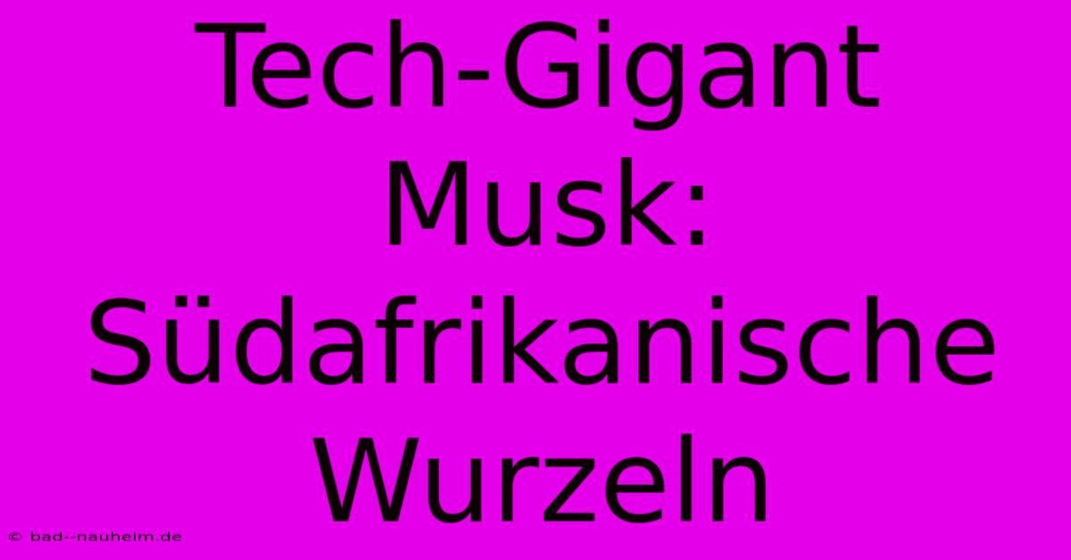 Tech-Gigant Musk: Südafrikanische Wurzeln