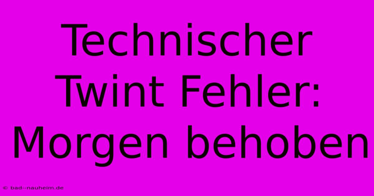 Technischer Twint Fehler:  Morgen Behoben