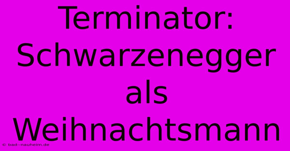 Terminator: Schwarzenegger Als Weihnachtsmann