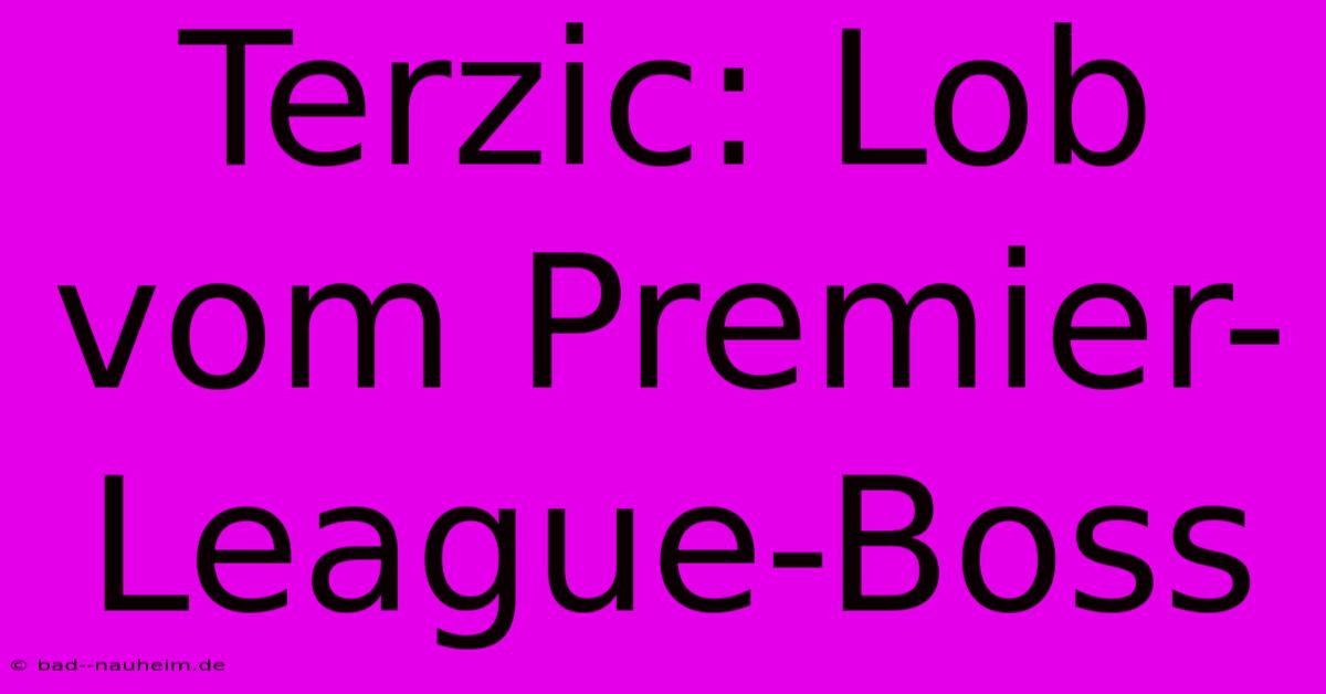 Terzic: Lob Vom Premier-League-Boss