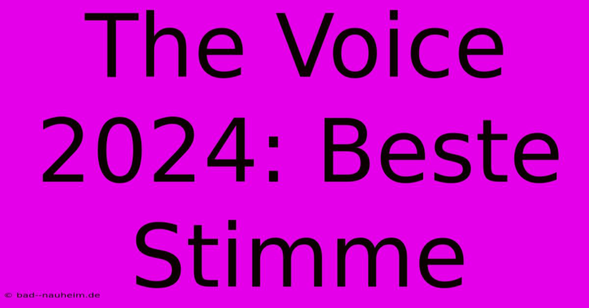 The Voice 2024: Beste Stimme