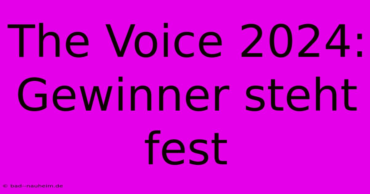 The Voice 2024: Gewinner Steht Fest